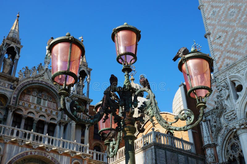 Pink lights on the Piazza San Marco, Venice, Italy