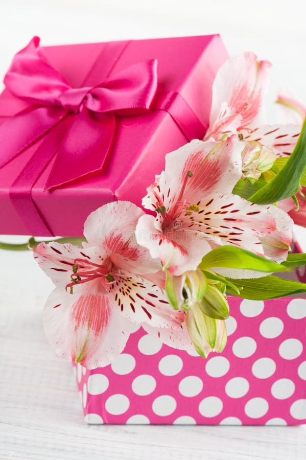 Pink Lilly Flowers with Gift Box Stock Photo Image of copy