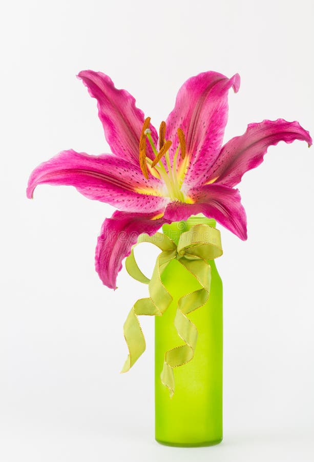 Pink lily in green vase stock image. Image of bloom, decorative 49840423