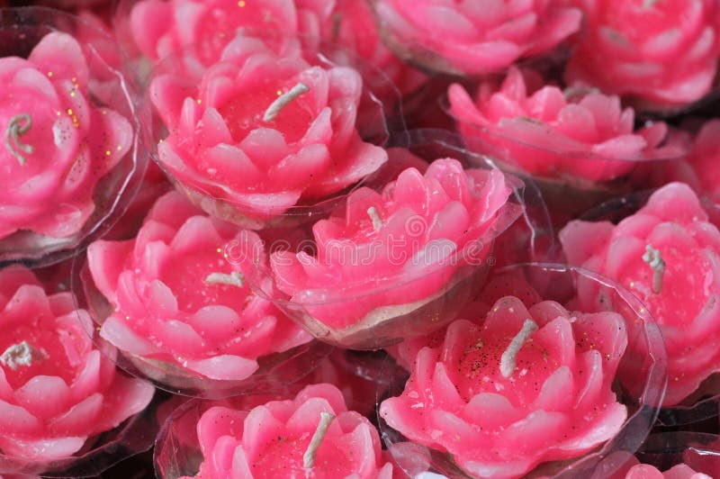 Pink Lotus Candles stock photo. Image of pink, blossom 23851922