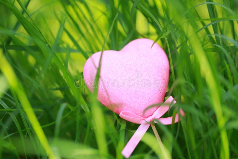 A pink love shaped foam toy gift lying on green grass lawn in summer spring autumn, close up stock image A pink love shaped foam toy gift lying on green grass lawn in summer spring autumn, close up stock image