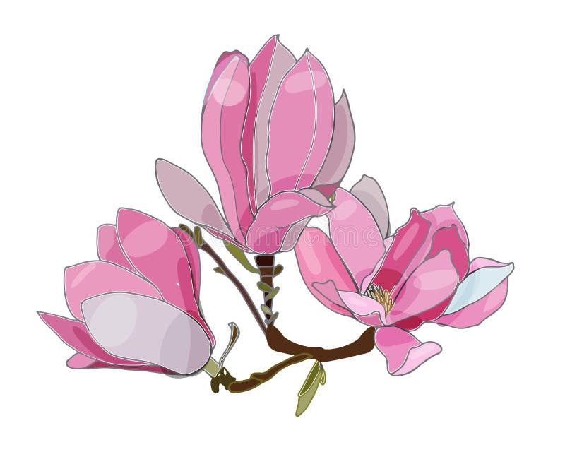 Card With Magnolia. Hand Drawn. Geaphics Stock Illustration ...