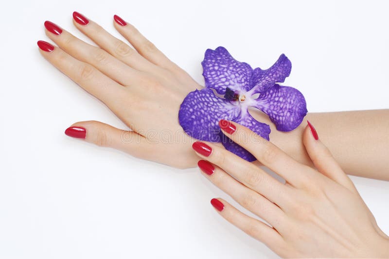 Pink manicure and purple orchid