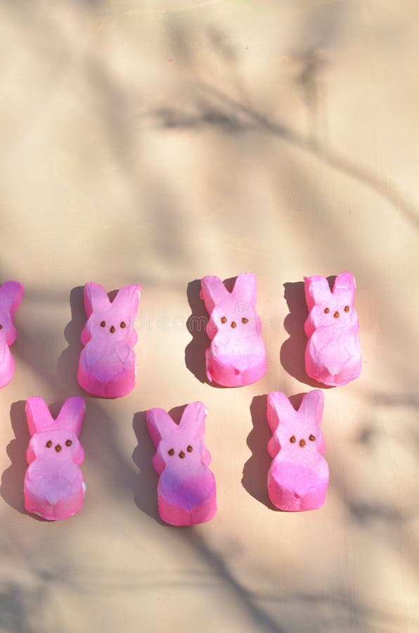 Pink Marshmallow Bunnies Shadows of Plants Editorial Stock Image