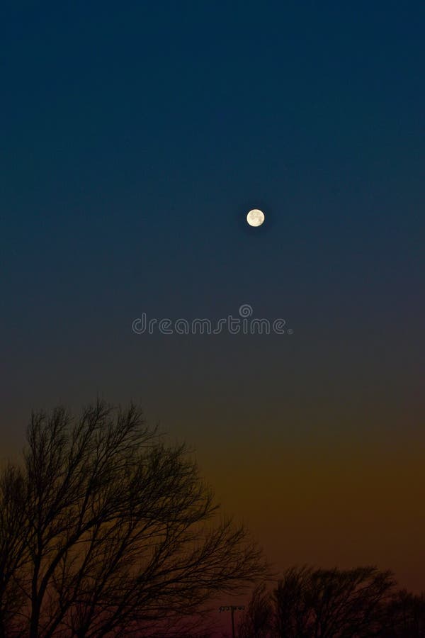 Pink Moon over Texas. stock photo. Image of bare, texas 238070814
