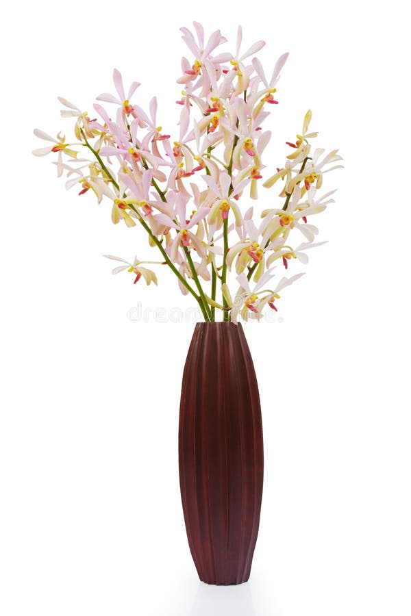 Pink orchid in wood vase stock photo. Image of crystal 14295258