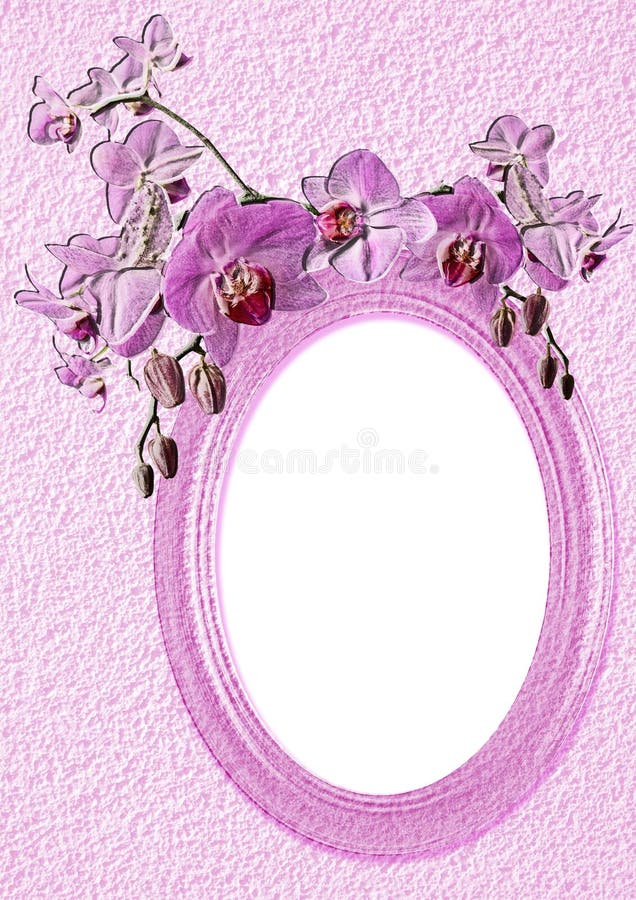 Pink oval frame with orchid