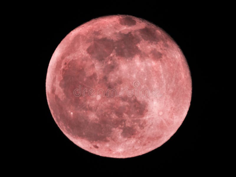 Pink Paschal Full Moon in the Night Sky Stock Image Image of gravitational, arzachel 274442733