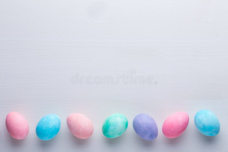 Pink Pastel Color Tulip on the White Background. Easter Background