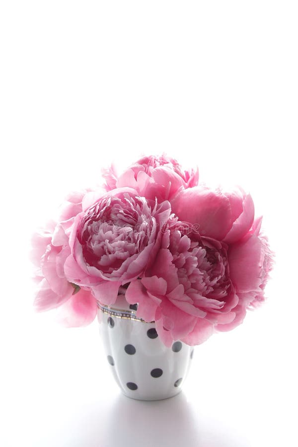 Pink peonies in vase