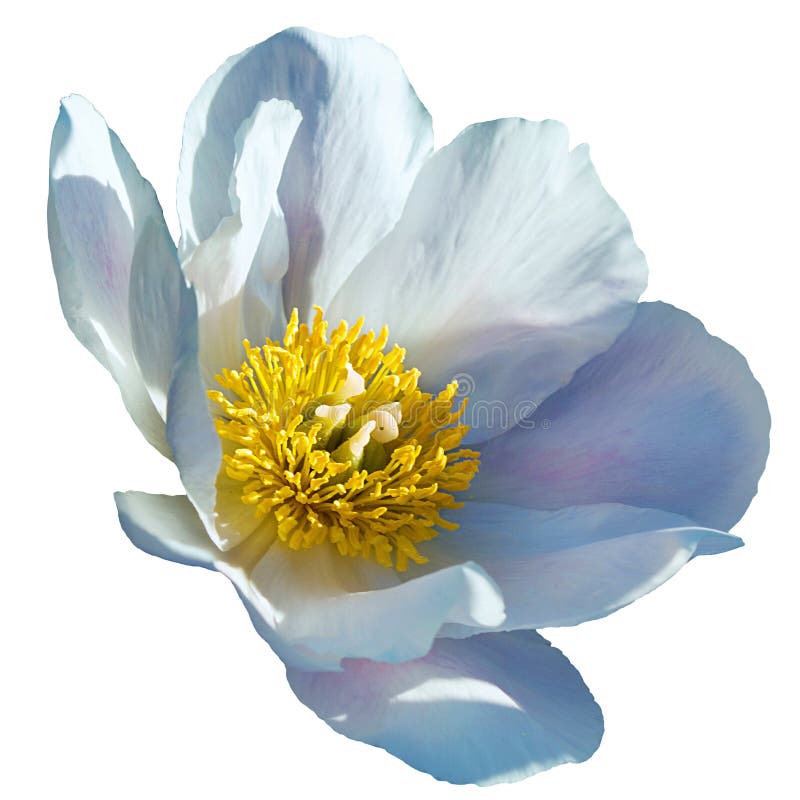My Image 15
