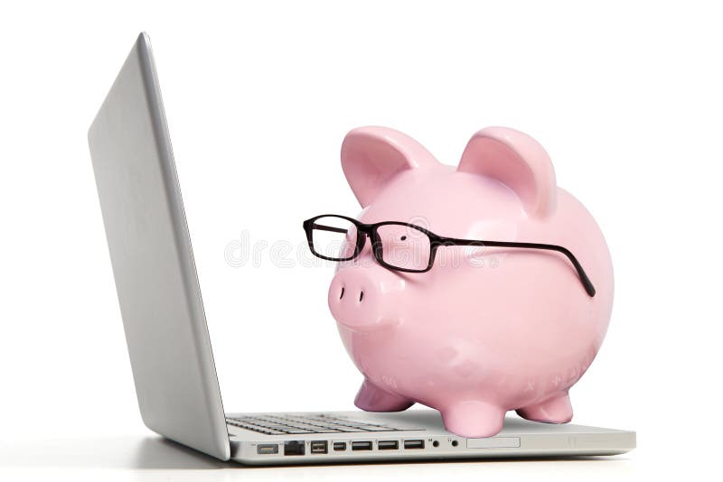 The pink pig and notebook computer