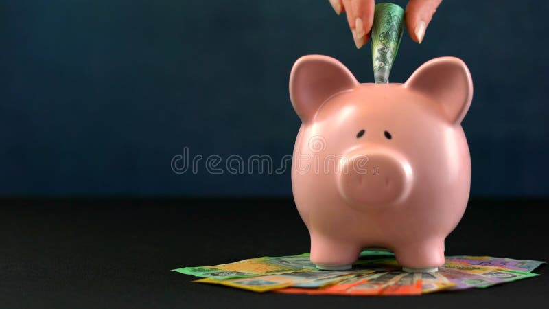 Pink Piggy bank money concept on dark blue background