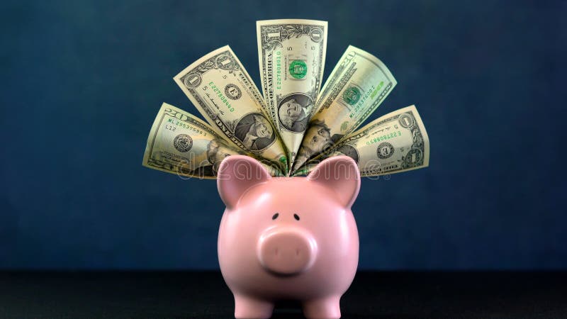 Pink Piggy bank money concept on dark blue background