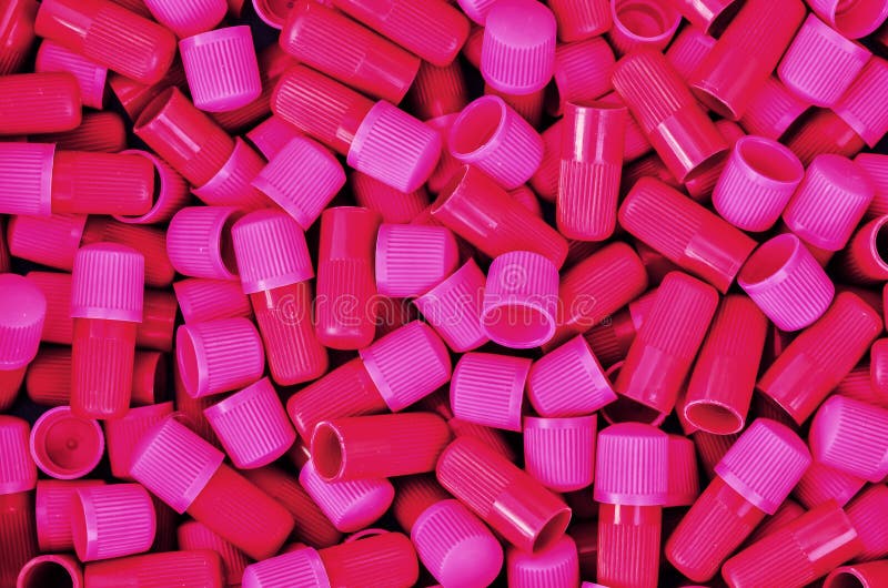 Pink blue Aechmea stock image. Image of garden, gamesopela 29022803