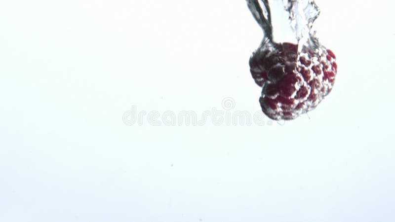 Pink raspberry fall splashed water goblet closeup. Sparkling clear aqua berries royalty free stock photo