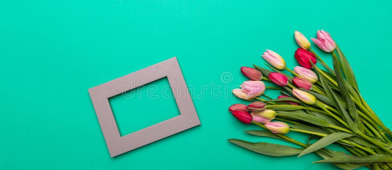 Pink and red tulips bouquet and empty frame on green background, banner, top view stock images Pink and red tulips bouquet and empty frame on green background, banner, top view stock images
