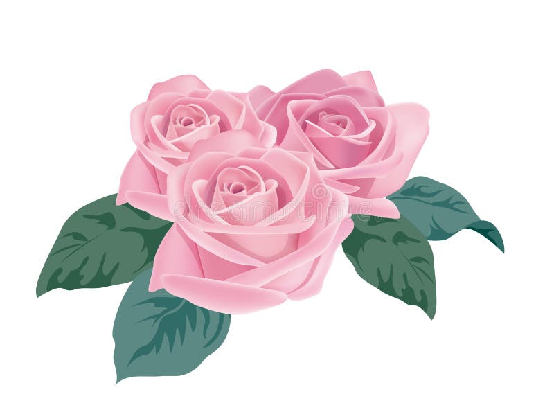 Pink rose stock vector. Illustration of plants, flora 9432239