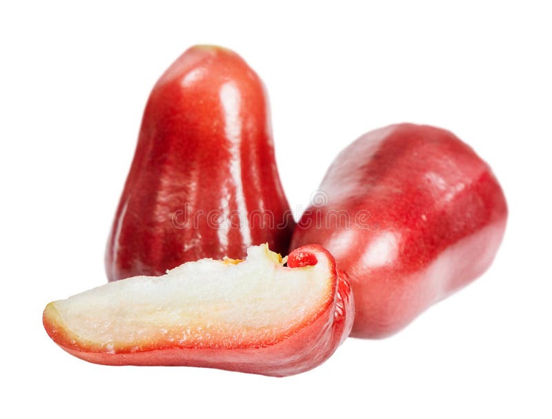Rose water apple isolated stock image. Image of summer 245013441