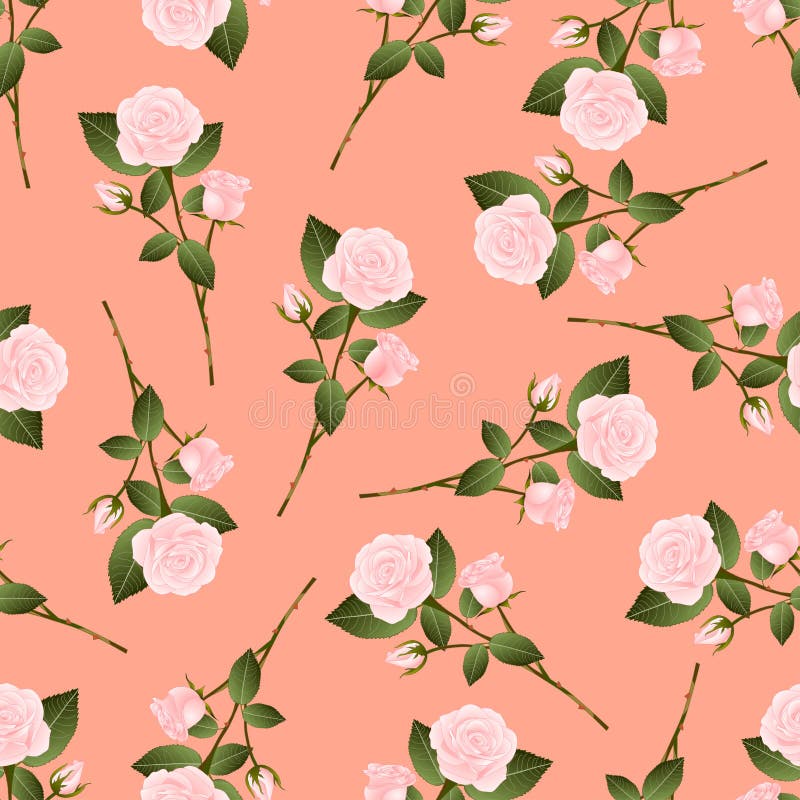 Pink Rose Bouquet on Orange Peach Background. Vector Illustration royalty free illustration Pink Rose Bouquet on Orange Peach Background. Vector Illustration royalty free illustration