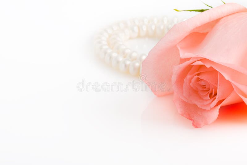 Pink rose bud with pearl necklace