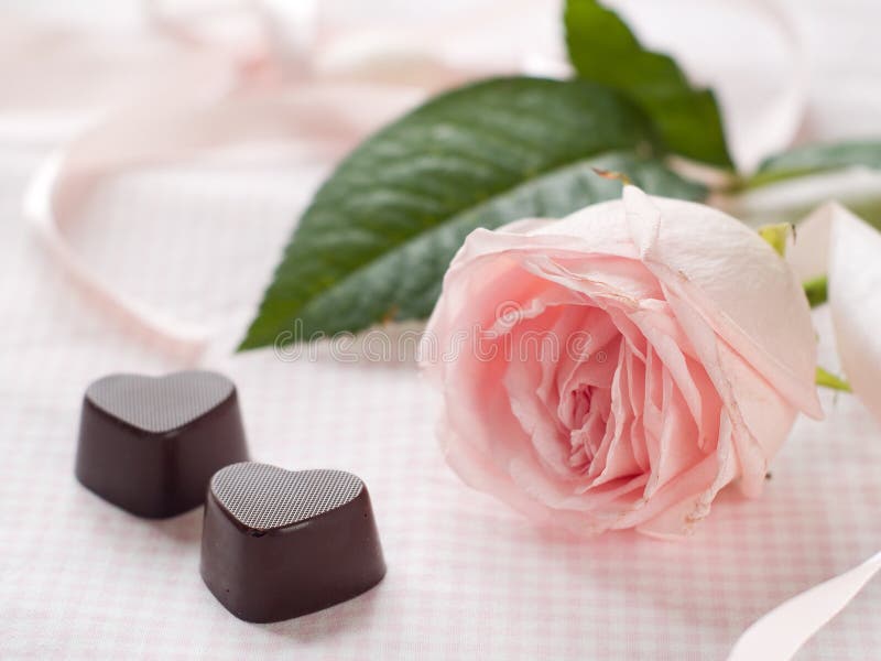 Pink rose with chocolate candy