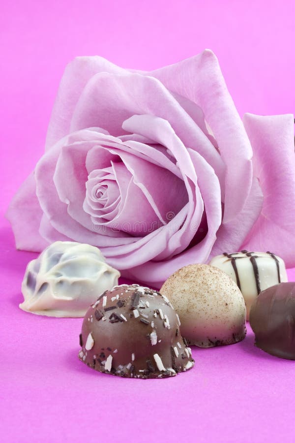 Pink rose and chocolate truffles royalty free stock photos Pink rose and chocolate truffles royalty free stock photos