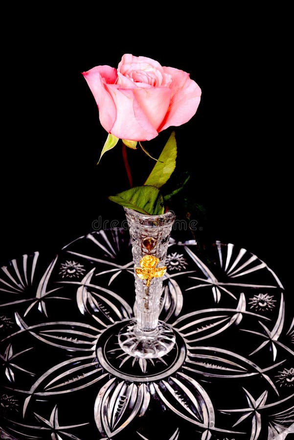 Pink rose in crystal vase stock photo. Image of decorative 43776532