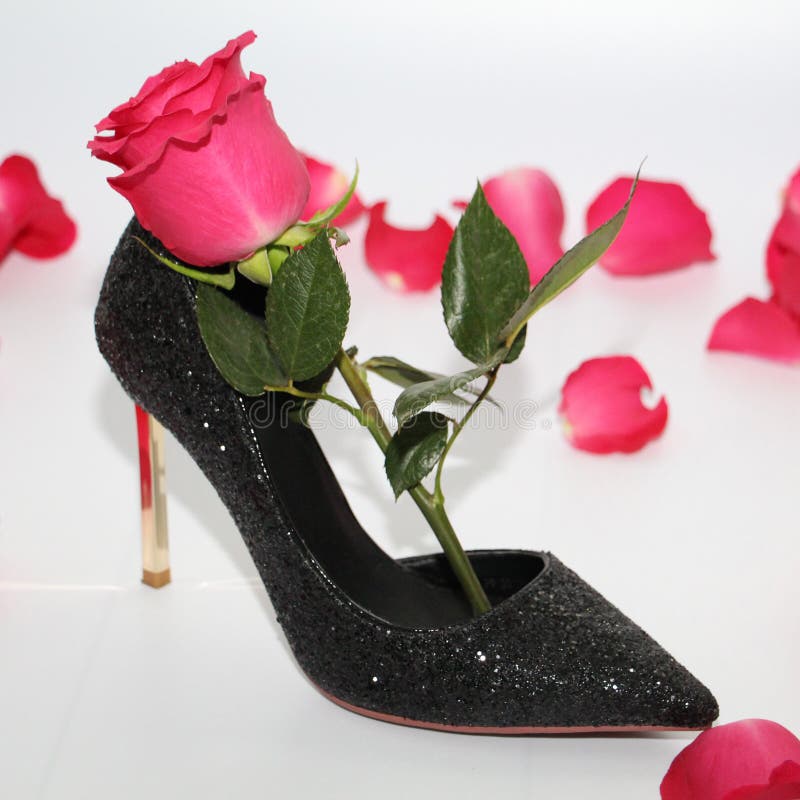 102 Rose Petals High Heels Photos 