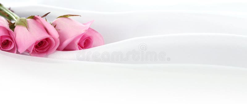 Pink Rose flower bouquet. Wedding horizontal background
