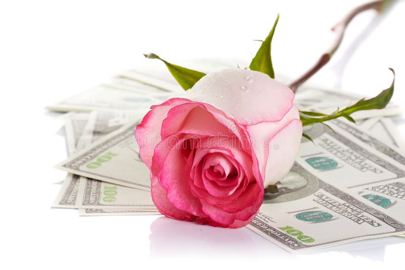 Pink rose flower and money stock photo. Image of object 29609746