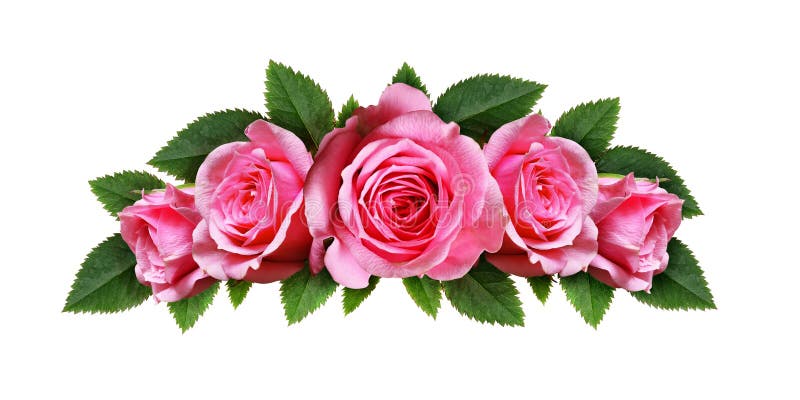 Pink Rose Flowers Arc Arrangement Stock Image - Image of card, decor ...