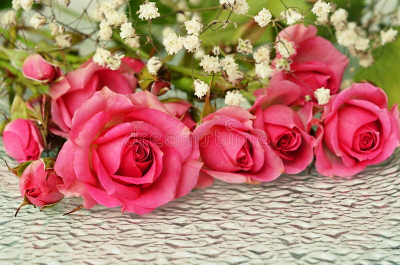 Pink rose flowers on glass stock images