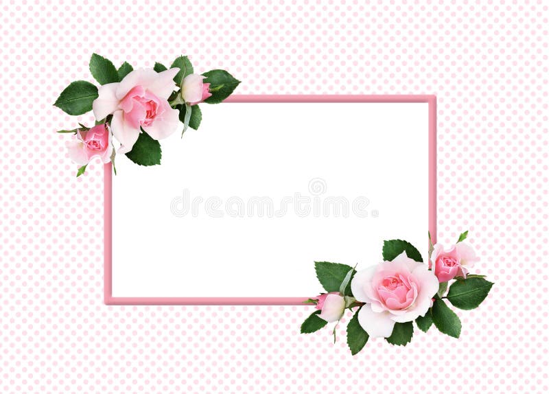 Pink rose flowers and green leaves in a floral corner arrangement and a frame stock illustration Pink rose flowers and green leaves in a floral corner arrangement and a frame stock illustration