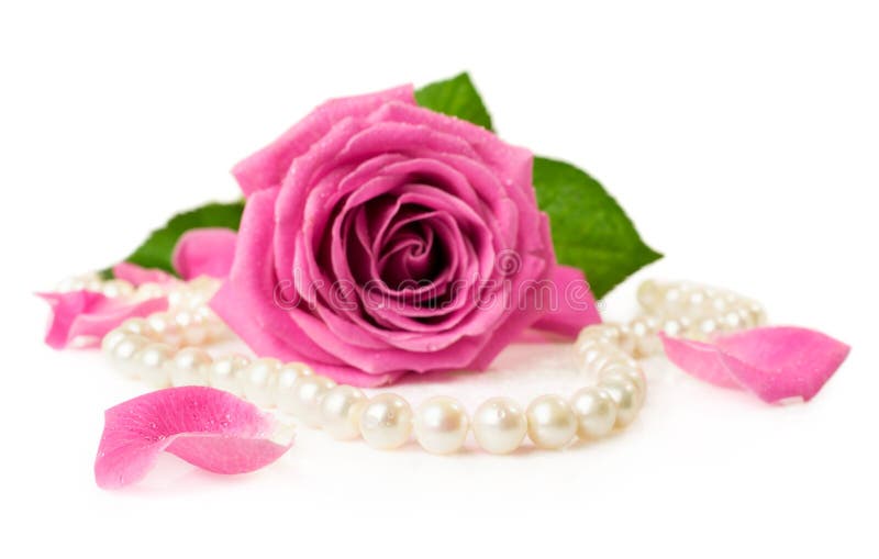 Pink Rose Pearl Necklace Stock Photos - Download 778 Royalty Free ...