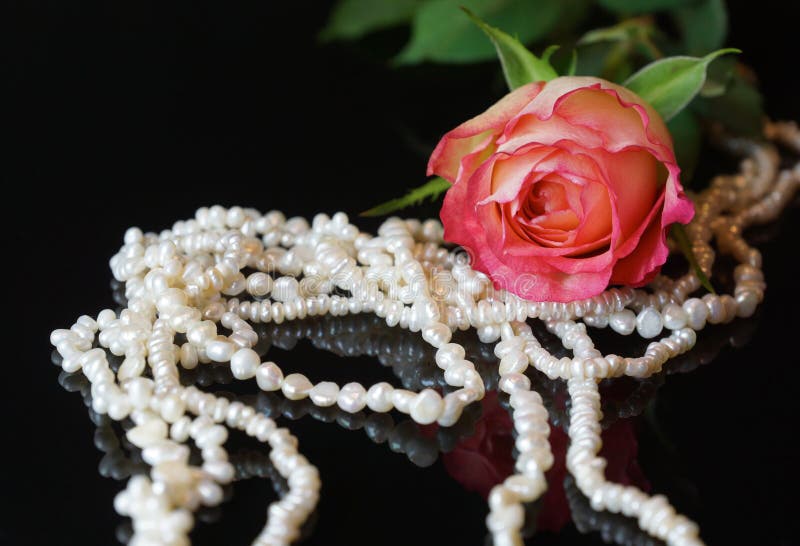 Pink Rose Pearls Stock Images Download 1,536 Royalty Free Photos