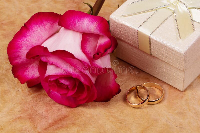 Pink rose, rings and gift stock image. Image of celebration 29243785