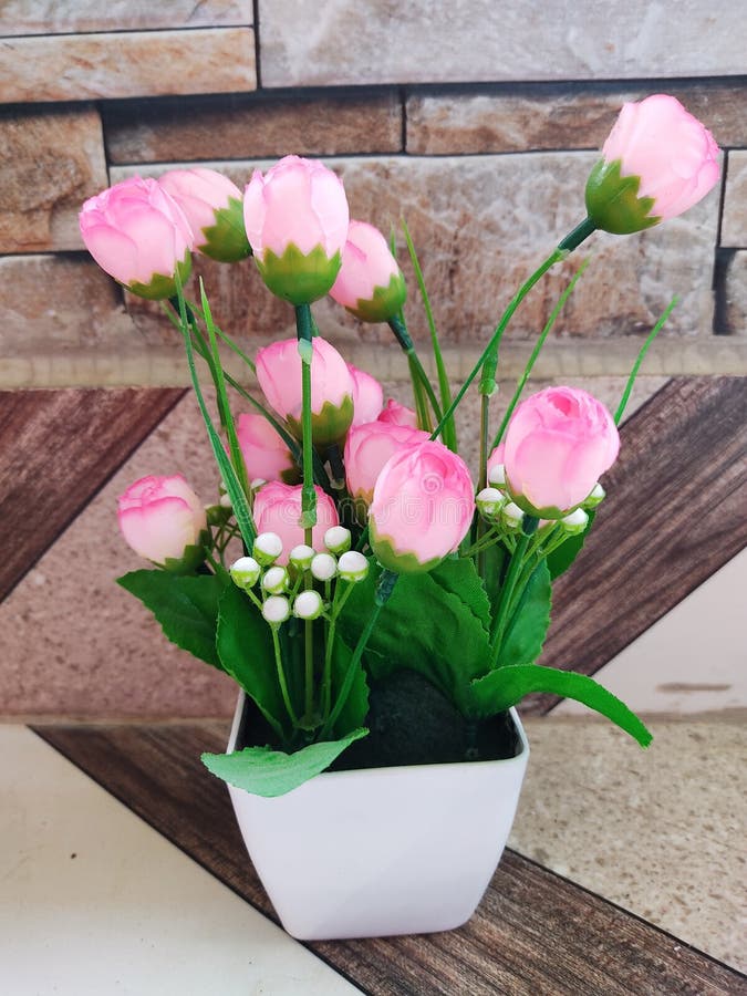 Pink rose vase hd quality picture