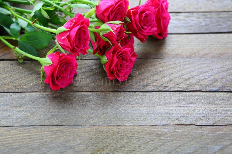 Pink rose on wooden background