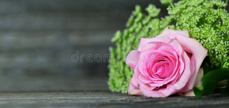 Pink Rose on Wooden Background. Mothers Day Background or Banner Stock  Photo - Image of card, invitation: 169282422