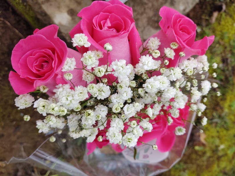 Pink rose with baby breth flower garlands at Rs 4500/pair