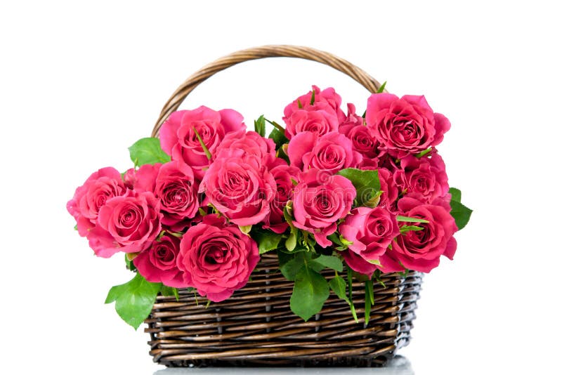 Ouquet of pink roses stock photo. Image of love, center - 24765446