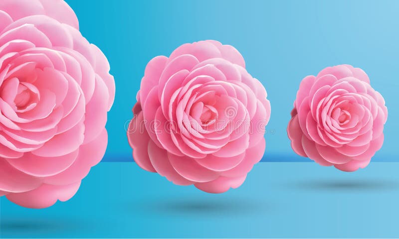 Pink roses on blue background, vector illustration