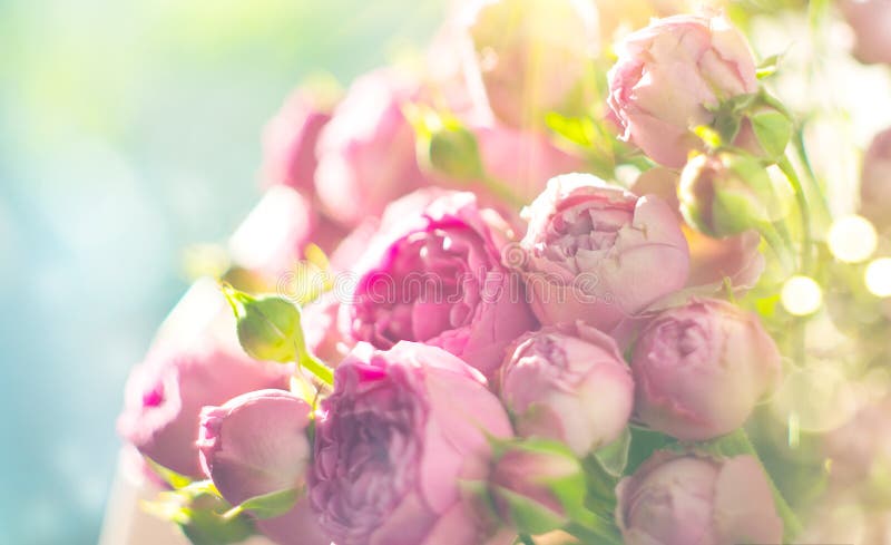 Bouquet of roses posititioned in direct sunlight.