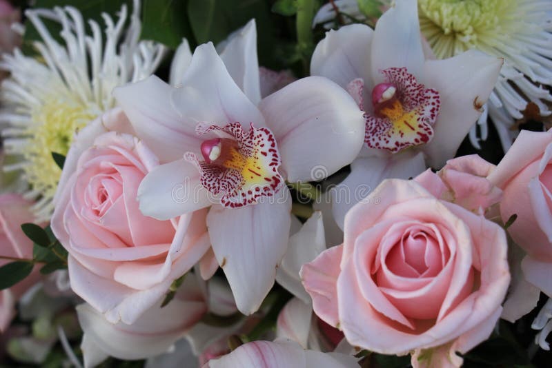 Pink Roses And Cymbidium Orchids Stock Image Image Of Flower Marriage 83083341