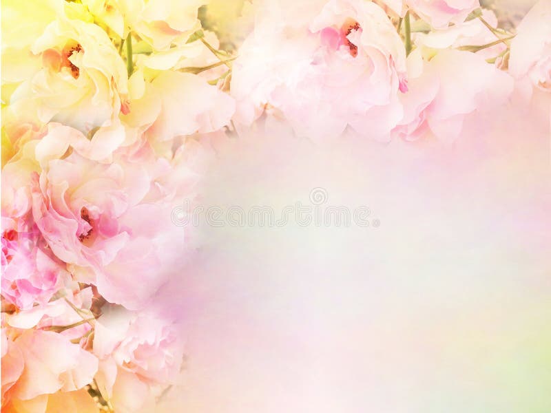 Pink roses flower border and frame in vintage color for valentine background stock photo