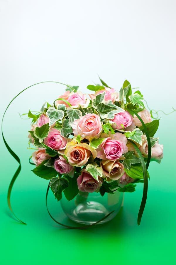 Pink roses and Green ivy stock photo. Image of bouquet - 36387442