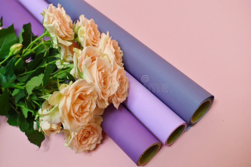 Pink roses and materials of the florist. Beautiful pleasant work stock image Pink roses and materials of the florist. Beautiful pleasant work stock image