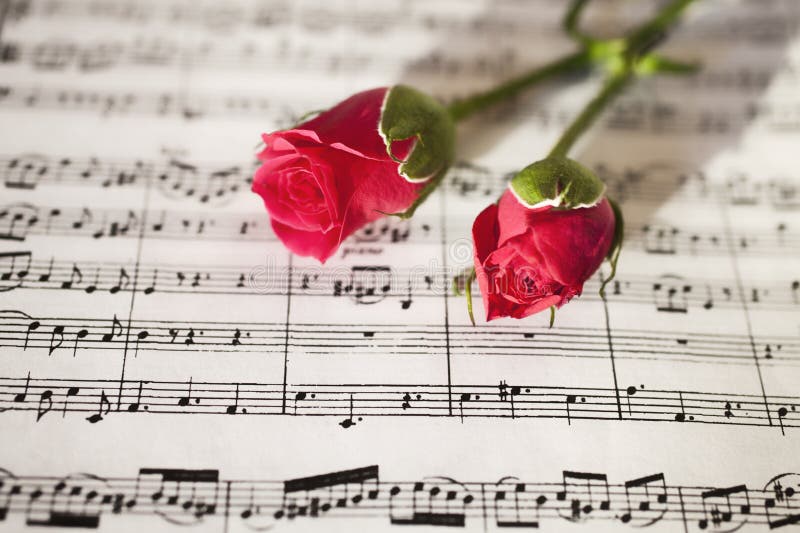 Pink roses on musical notes. Note, nobody.