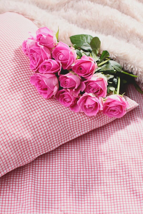 Pink roses on pillow stock photo. Image of flower, present 87303994